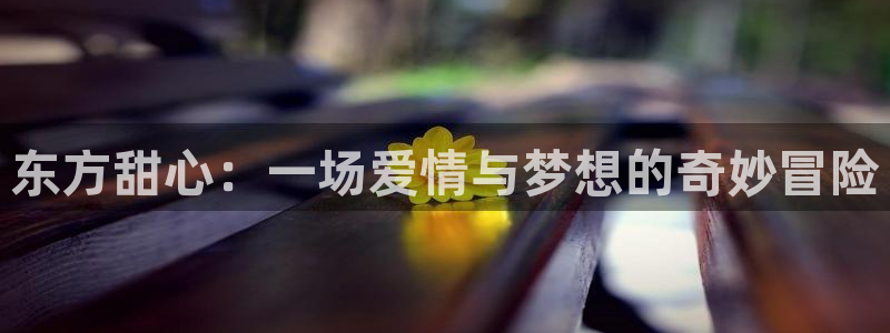 动漫之家没了吗：东方甜心：一场爱情与梦想的奇妙冒险